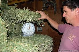 Hay weighing