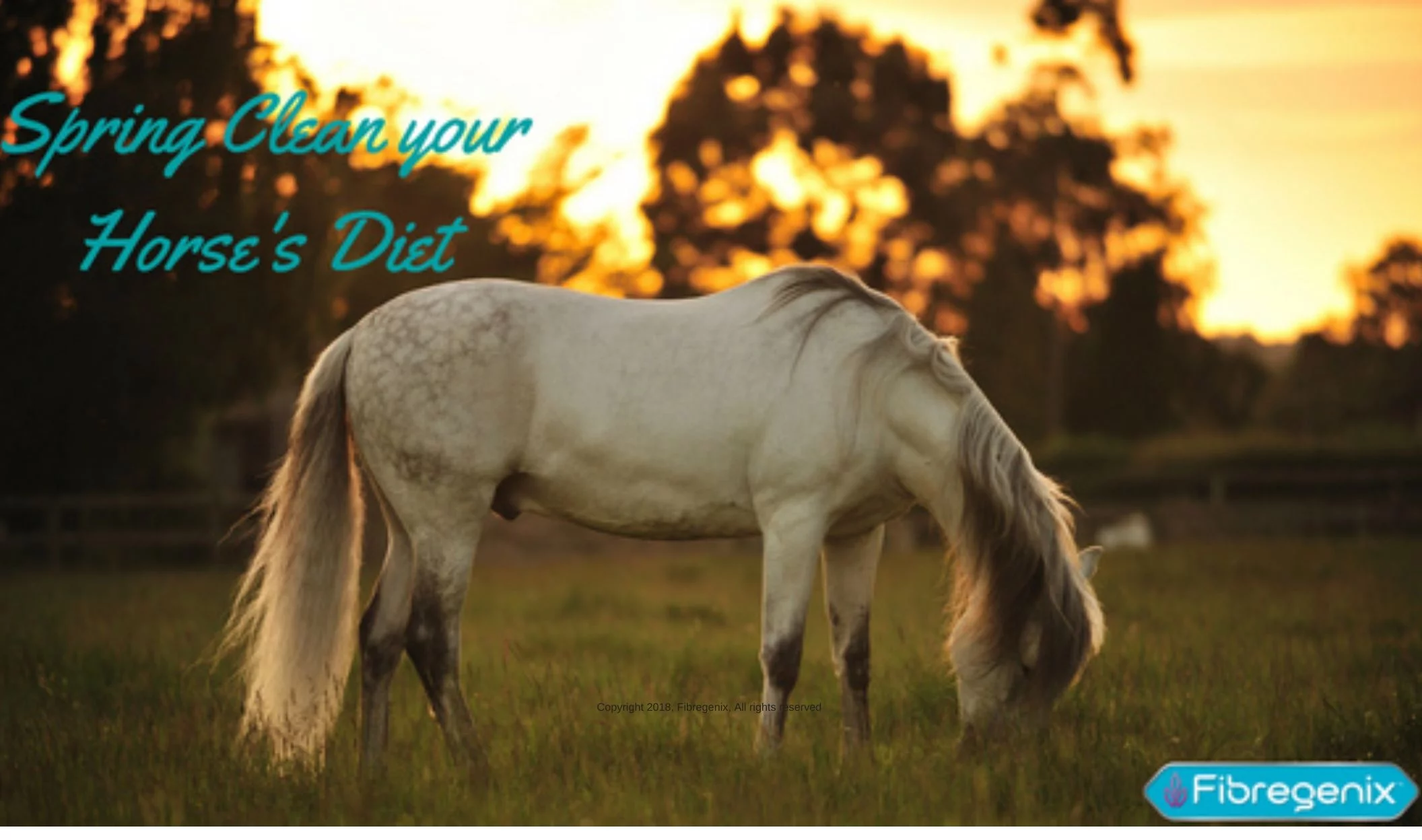 Spring Clean Your Horse’s Diet