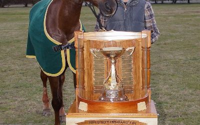 Feeding the endurance horse