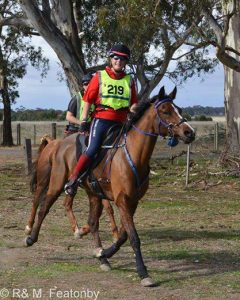 endurance horse racing