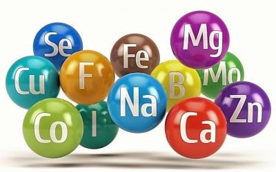 Do Chelated Minerals Perform Better Than Non-chelated?