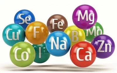 Do Chelated Minerals Perform Better Than Non-chelated?