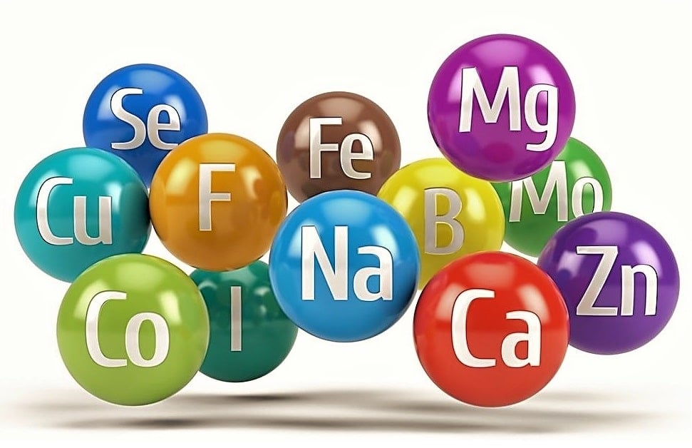 Do Chelated Minerals Perform Better Than Non-chelated?