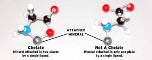 mineral cheleates