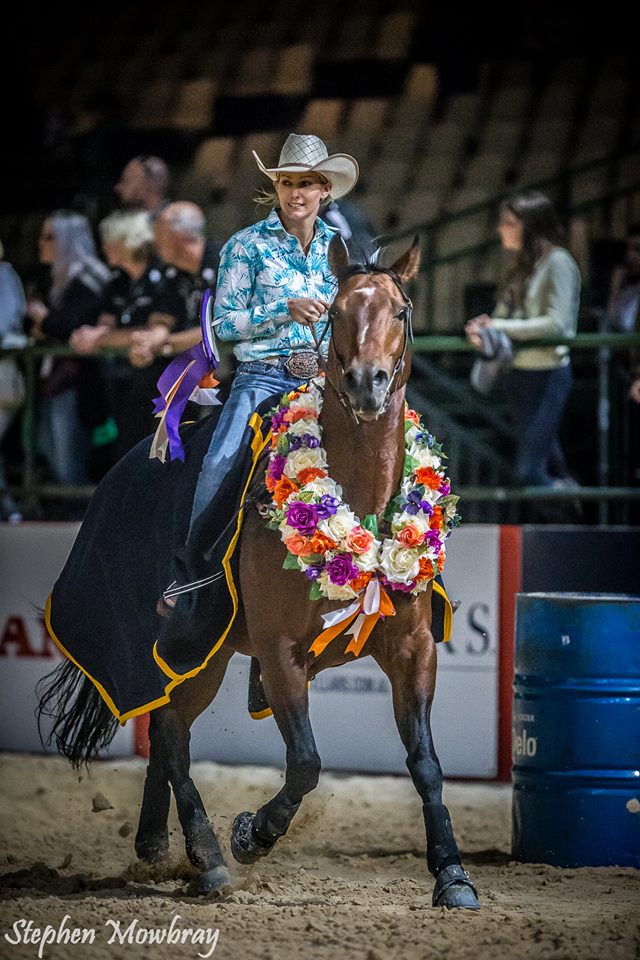 feeding western rodeo horses