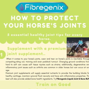 protecting horses joints