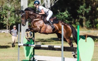 Feeding off the track thoroughbreds