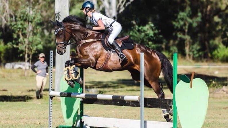 Feeding off the track thoroughbreds