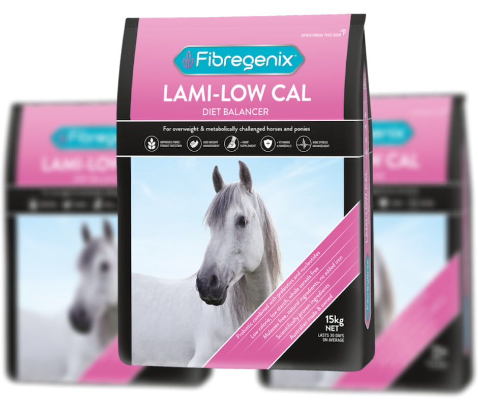 laminitic feeding laminitic feeding