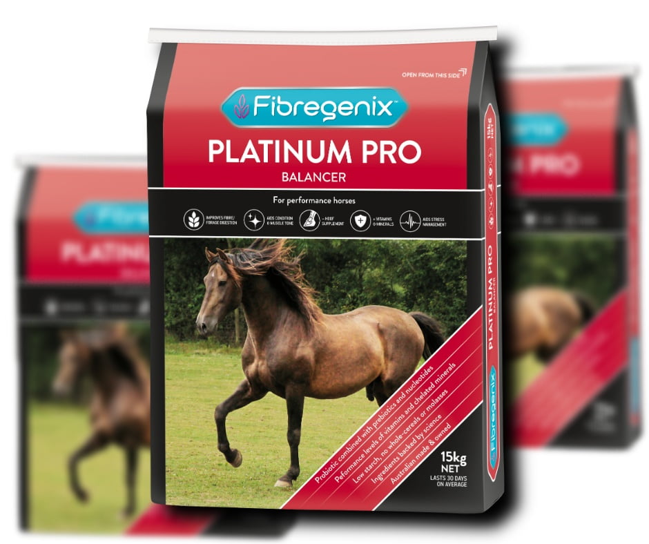 platinum pro platinum pro