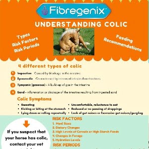 Colic fact sheet