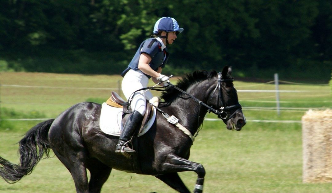 Tying Up in Horses