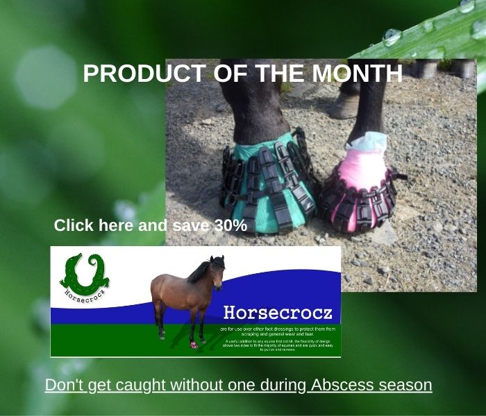 Home product of the month