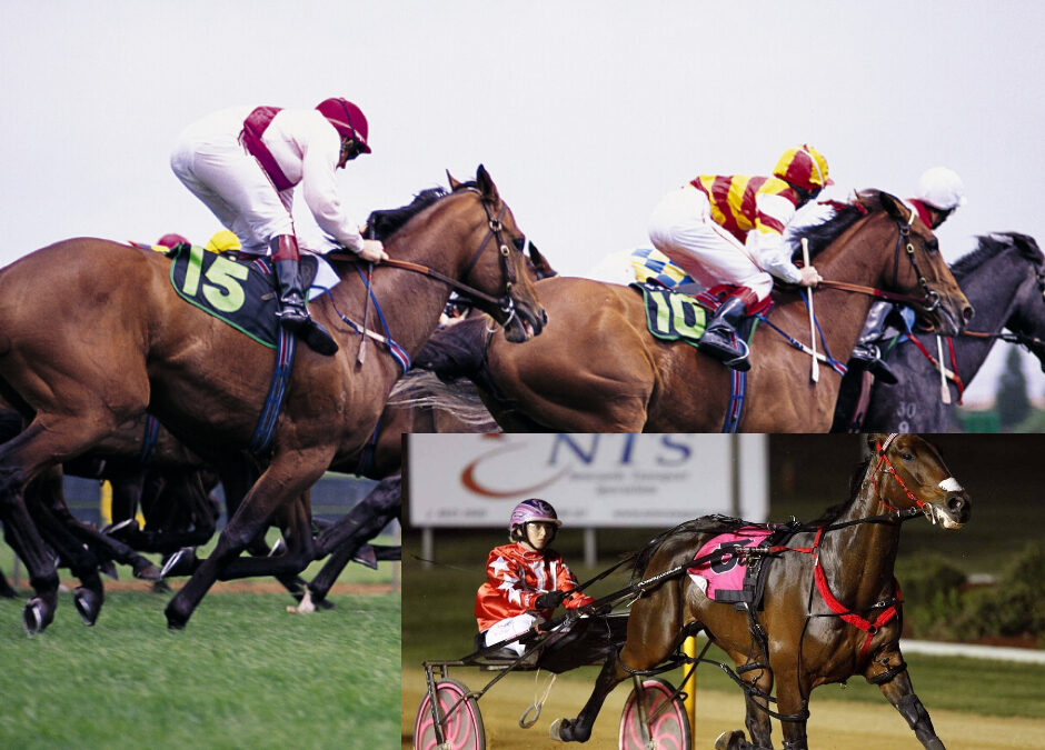 Feeding racehorses