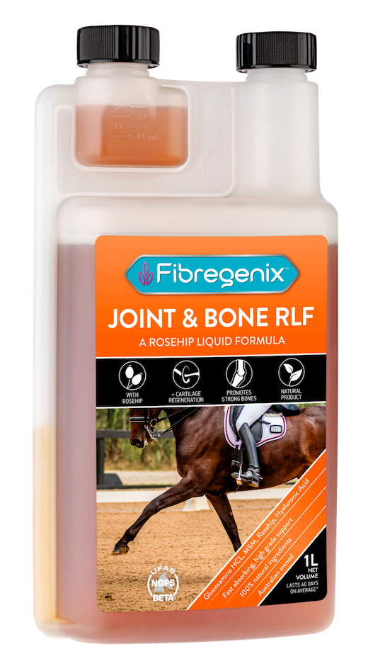 J&B 520x940 rosehip joint product