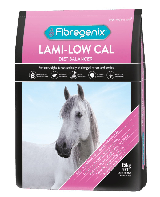 feed for laminitic horse