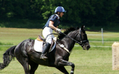 Feeding the Eventing Horse